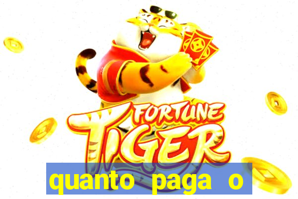 quanto paga o jungle fight